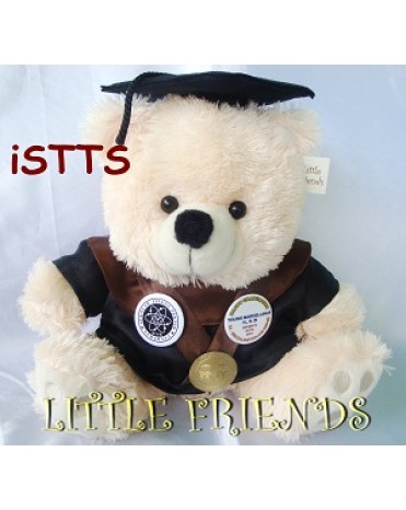 Boneka Wisuda iSTTS Surabaya - Sistem Informasi (30 cm)